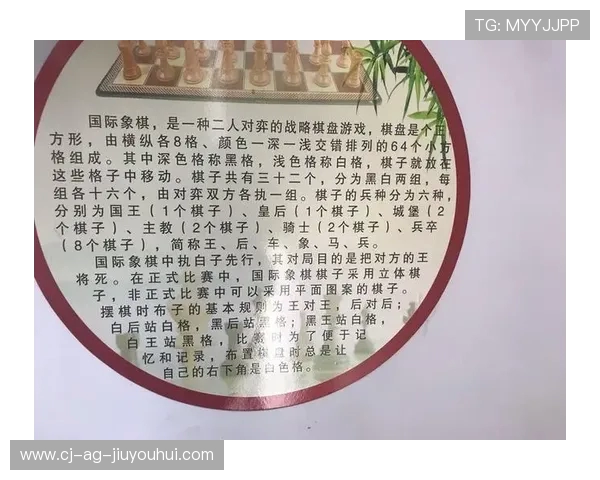 中学生足球校队选拔标准与综合素质评估体系研究 中学生足球校队选拔标准与综合素质评估体系研究